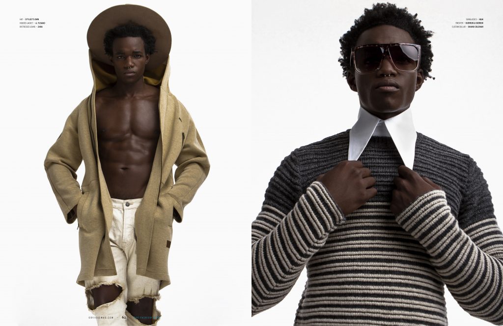 FALL TRANSITION